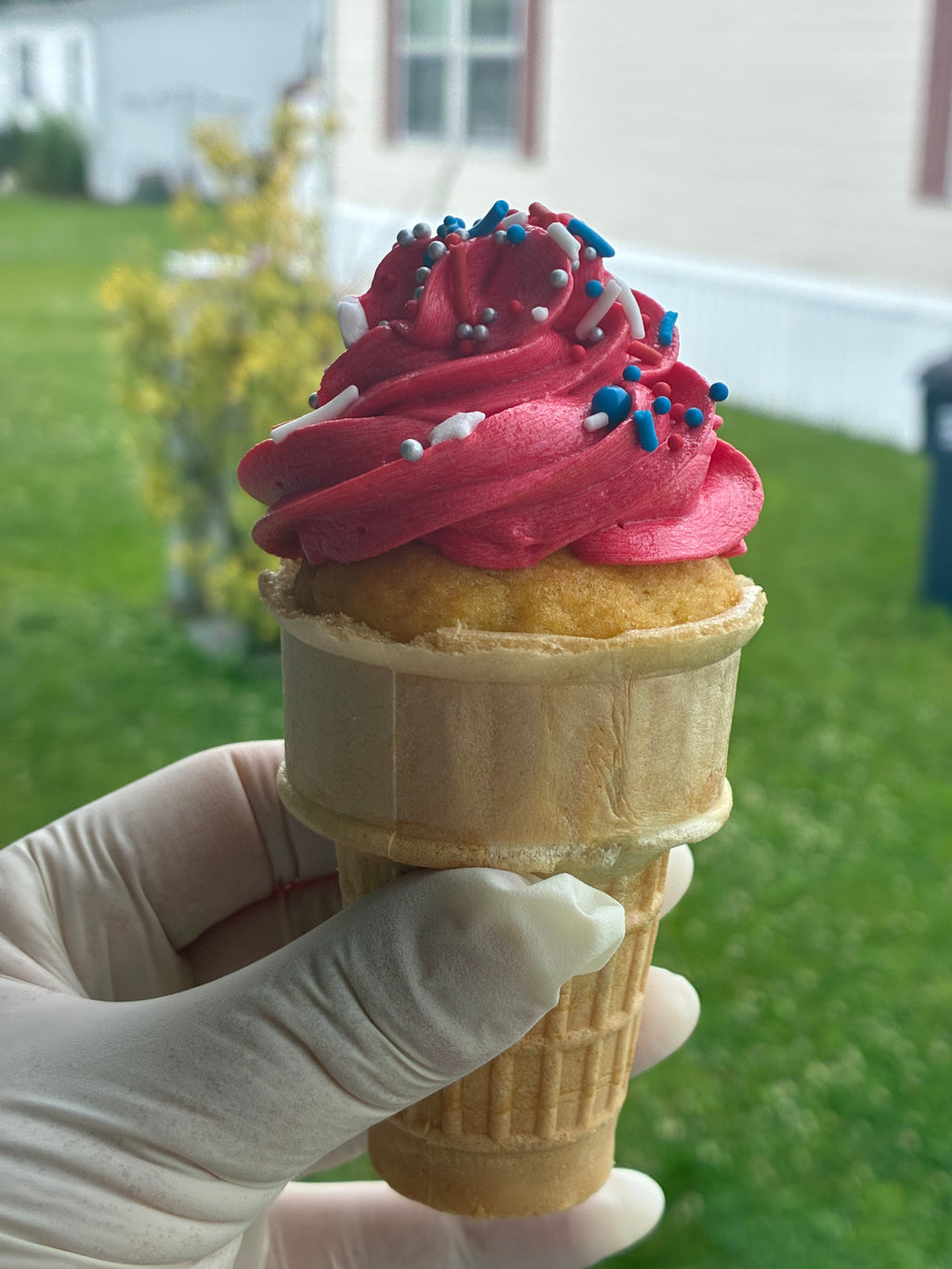 Cupcake Cones