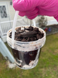 Cookies & Cream Dream