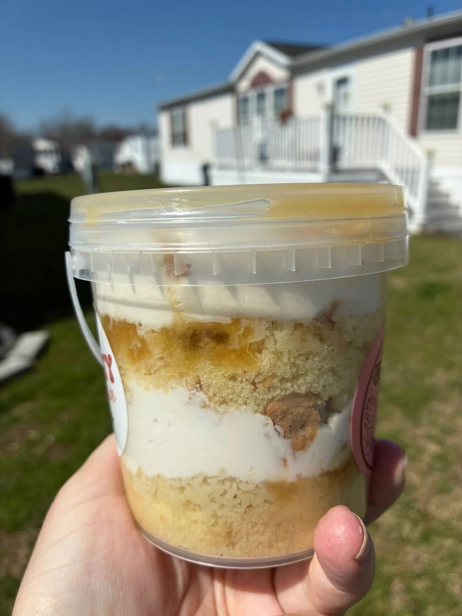 Pineapple Upside Down